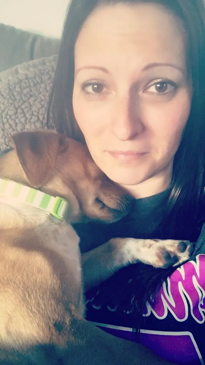My Tx>mn Rescue Chiweenie Shortly After Foster Mom Left. Welcome To Snow Orin!