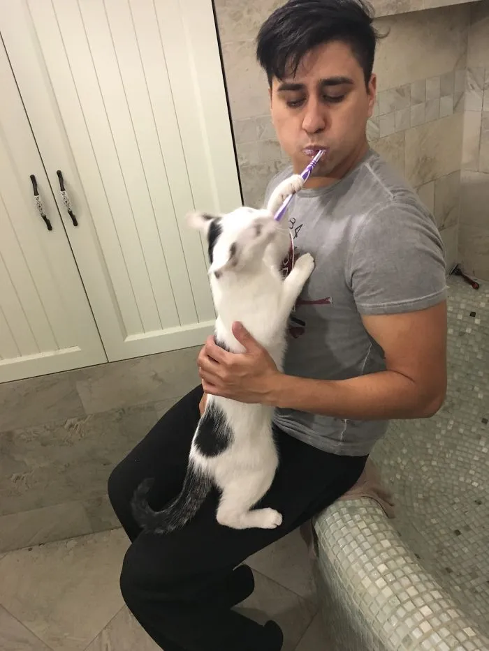 If I Can't Have Minty Fresh Breath, Neither Shall You. Now Go Chew On Poo