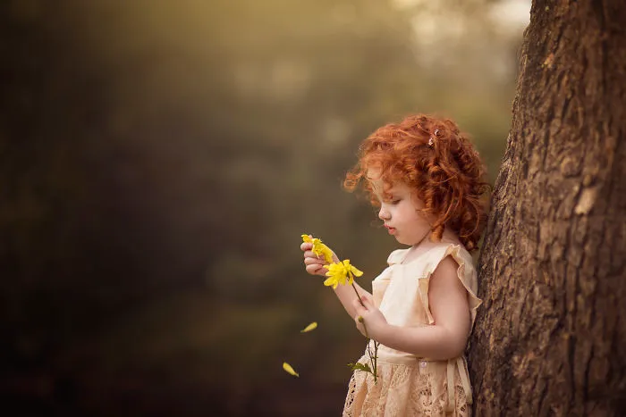 Yellow Winds