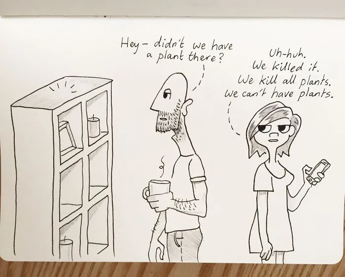 I Noticed An Empty Space Where A Plant Should Have Been. Turns Out It Was The Latest Victim Of Our Plant Curse