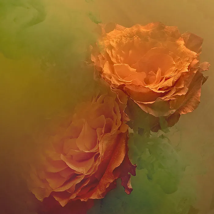 Reimaging The Traditional Floral Still Life Underwater