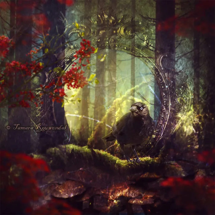 Sage Of The Woods
