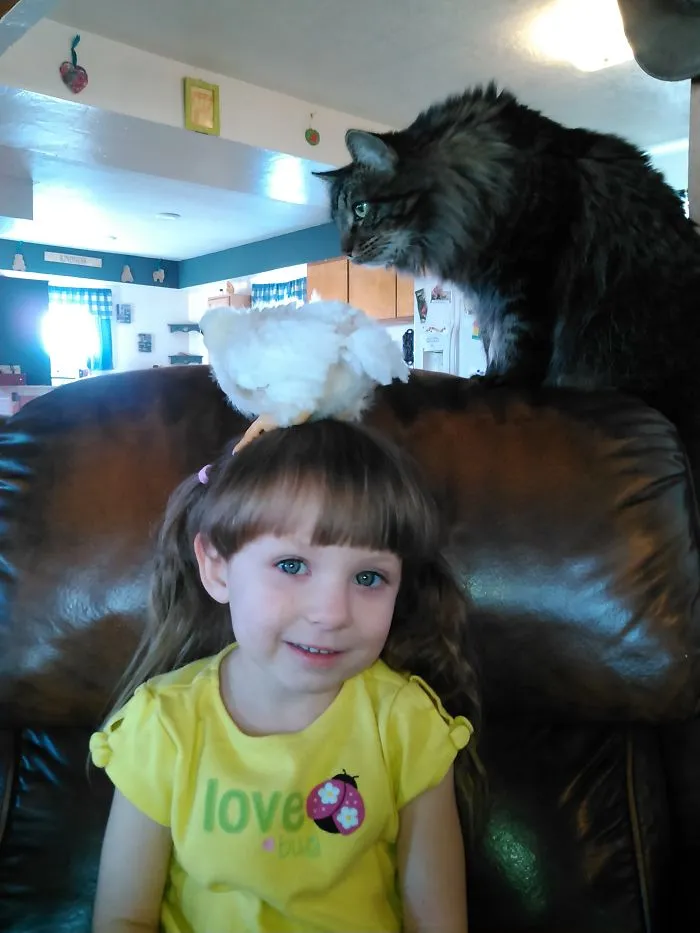 My Daughter So Excited That The Chick Hopped On Her Head.  If She Only Knew...