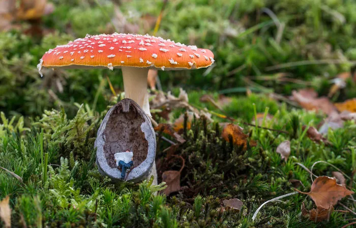 Reading Daily News In The Forest