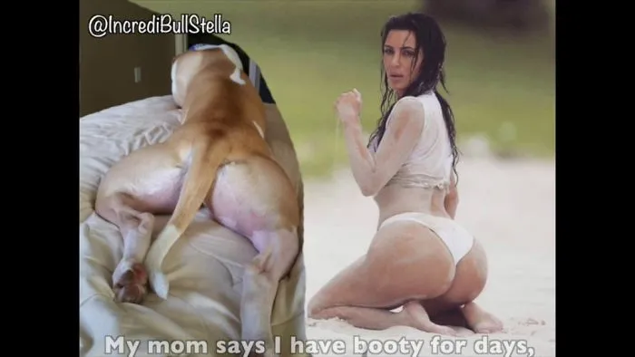 Pit Bull Compares Booty With Kim Kardashian