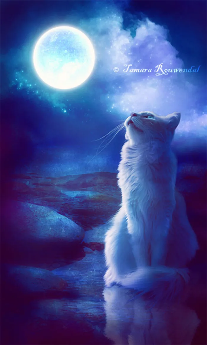 Moonlit Night