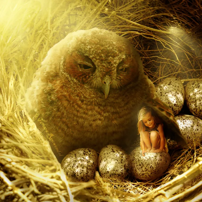 Owl Child