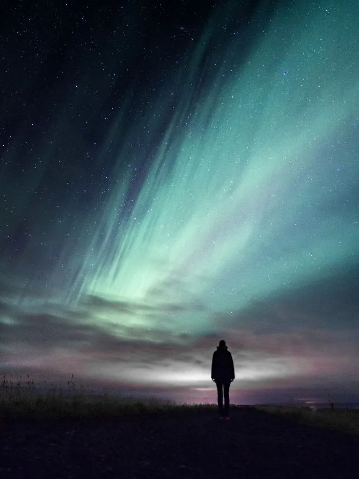 I Spent 3 Weeks Volunteering On Icelandic Farm And Couldn’t Sleep At Nights
