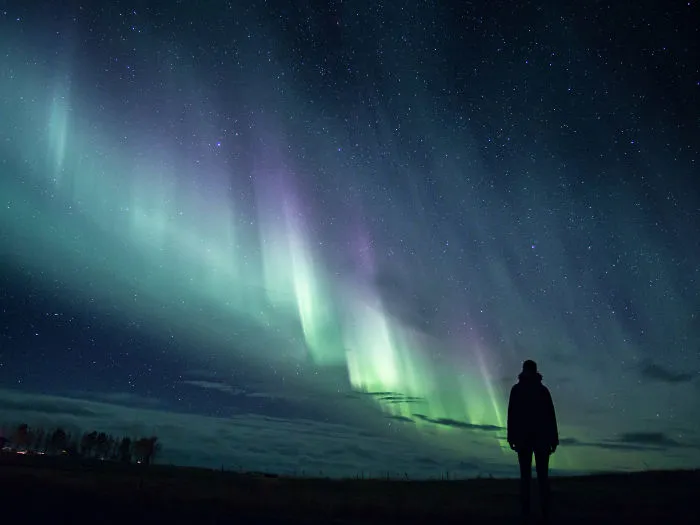 I Spent 3 Weeks Volunteering On Icelandic Farm And Couldn’t Sleep At Nights