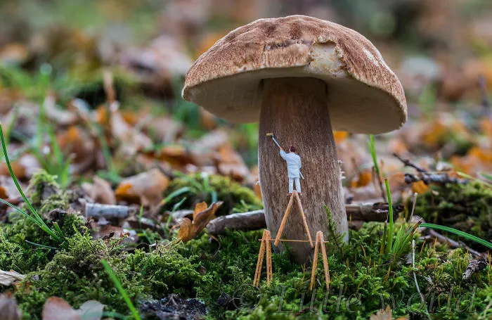 Mushroom Painting