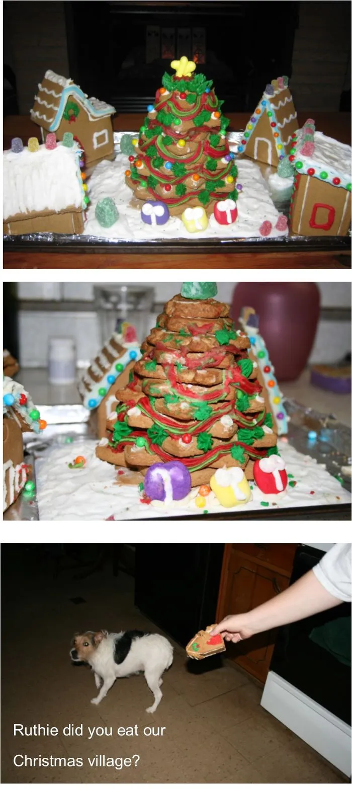 My Dog Ate Our Christmas Gingerbread Village...
