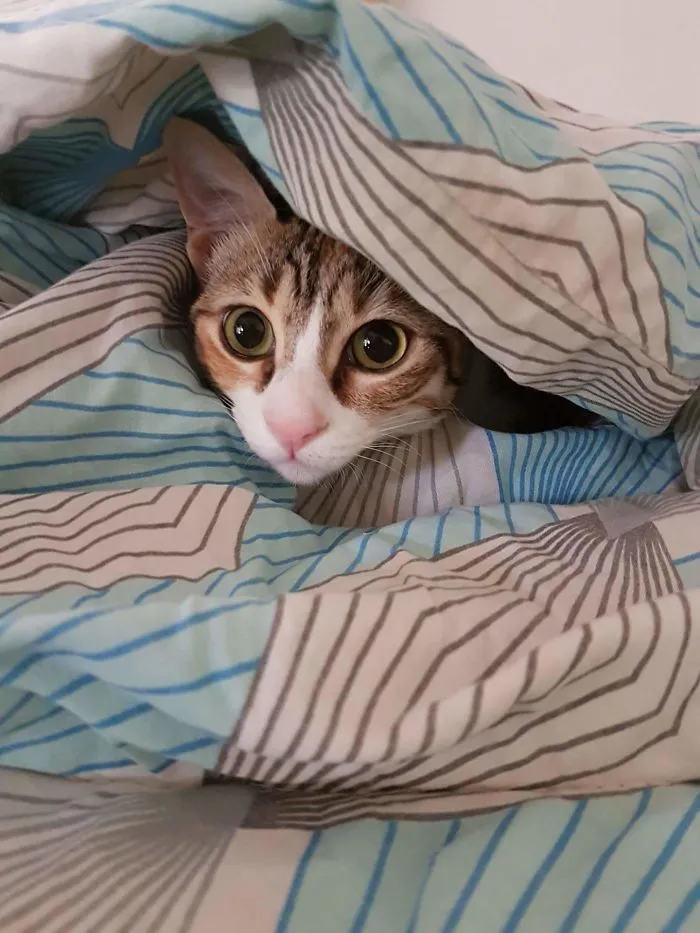 Peek-A-Boo!!