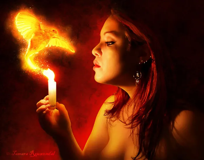 Rising Phoenix