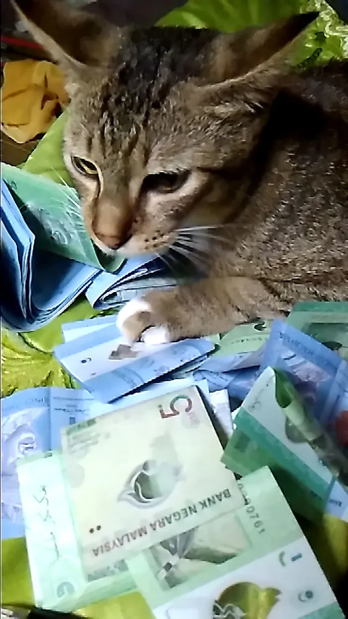 He Don't Let Me Count The Money And Ask To Play With Him