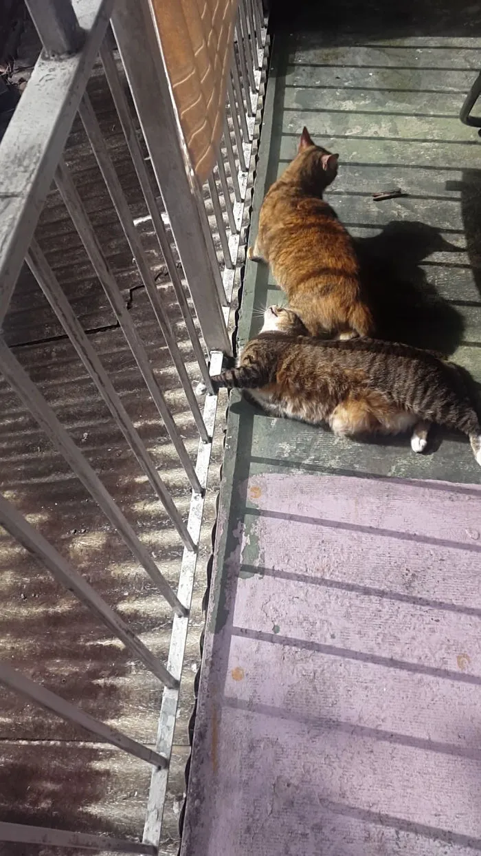 They're Both Jerks. One Doesn't Want To Cuddle And The Other Knows That.