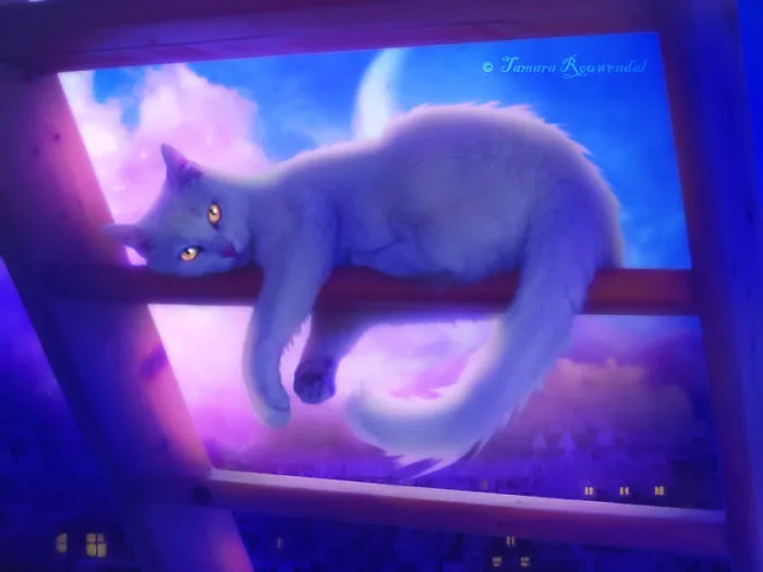 City Cat