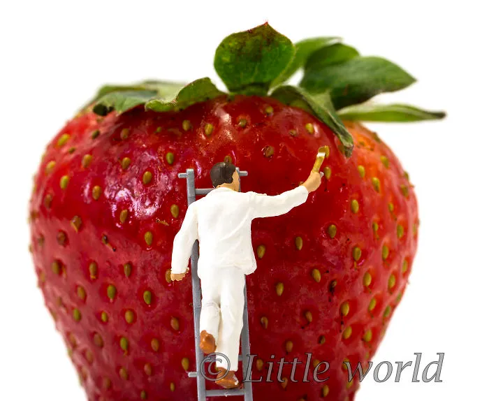 Strawberry Hills