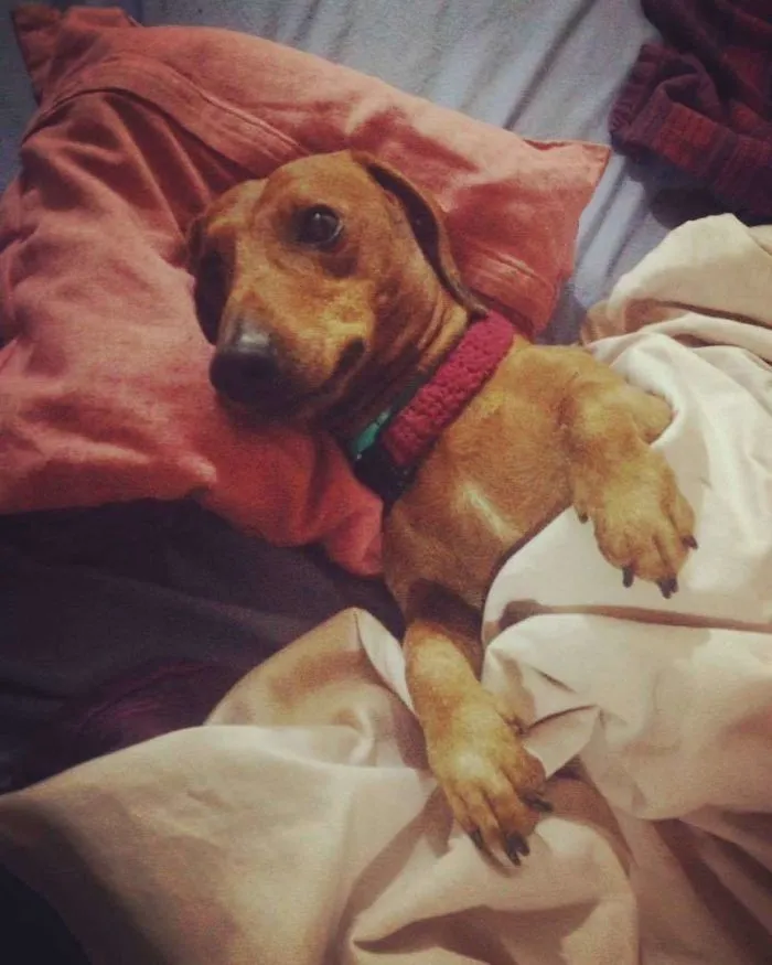 This Is How He Loves To Sleep!