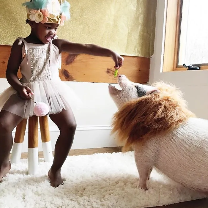 Lion Tamer