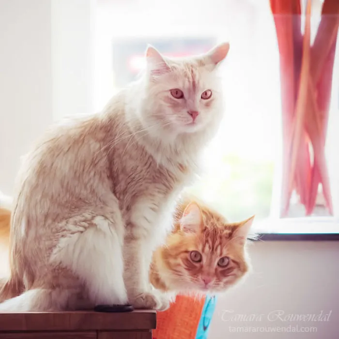 The Two Of Us