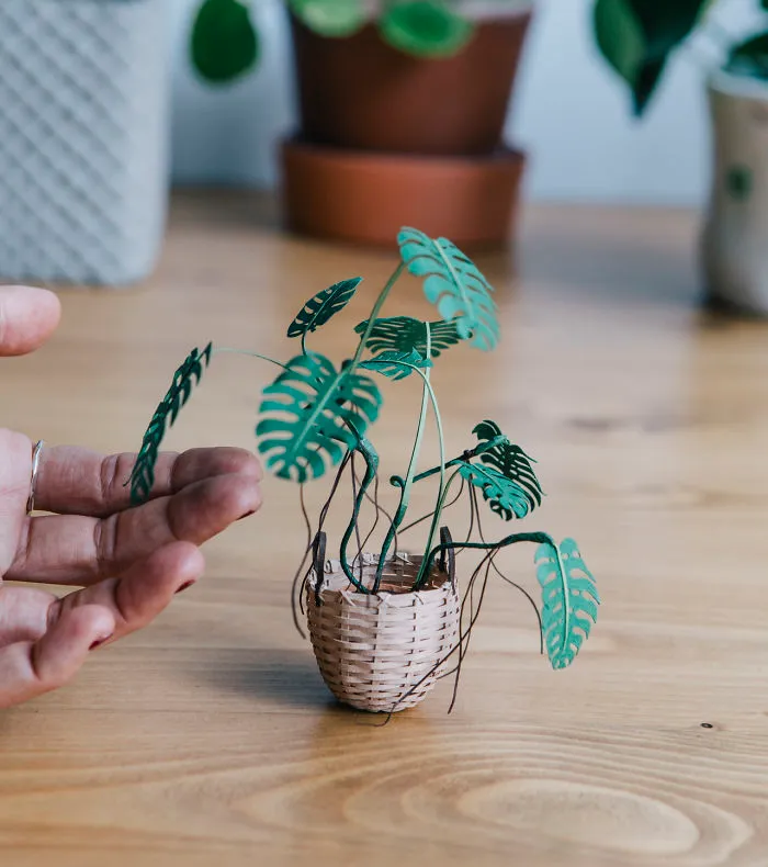 Miniature Paper Plants That Take Me Up To 20 Hours To Create