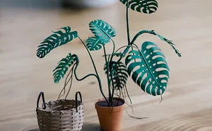 Miniature Paper Plants That Take Me Up To 20 Hours To Create