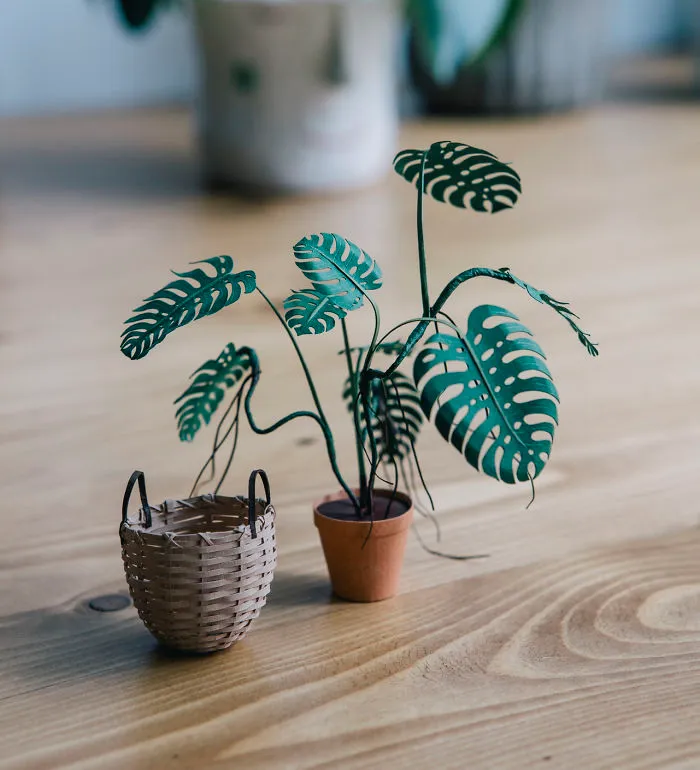 Tiny Terrariums With Miniature Paper  Plants, Blooming Cacti And Flowers