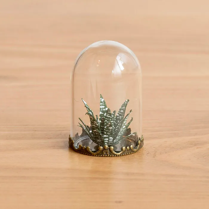 Miniature Paper Plants That Take Me Up To 20 Hours To Create