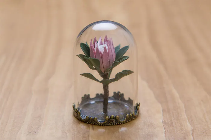Tiny Terrariums With Miniature Paper  Plants, Blooming Cacti And Flowers