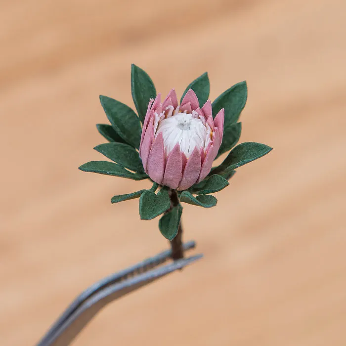 Tiny Terrariums With Miniature Paper  Plants, Blooming Cacti And Flowers