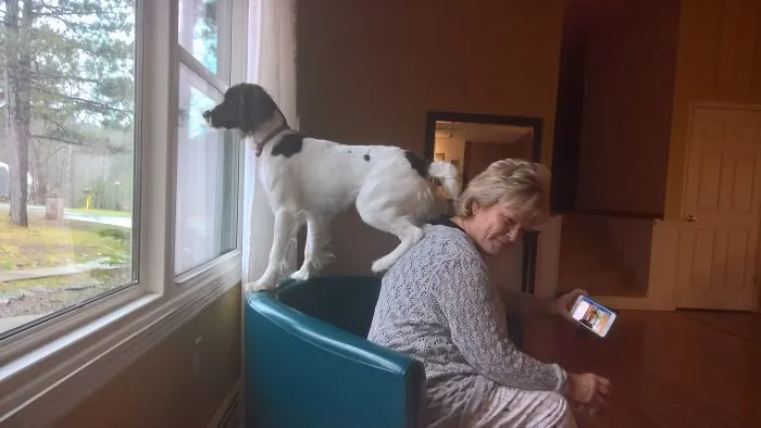 "What? This Is My Chair."