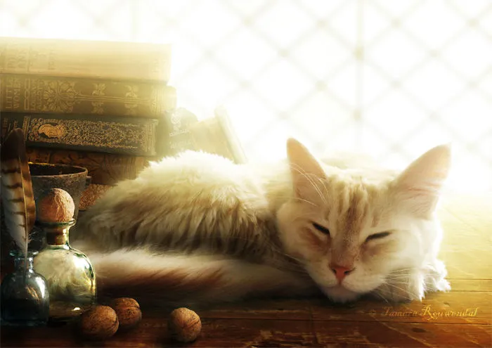 Wizard's Familiar