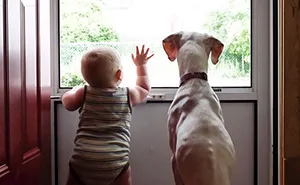 Abused Dog Is Terrified Of Everyone Except This Baby, And Their Pics Are The Sweetest Thing Ever