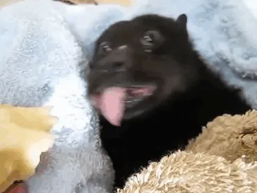 Munching On Some Fruit