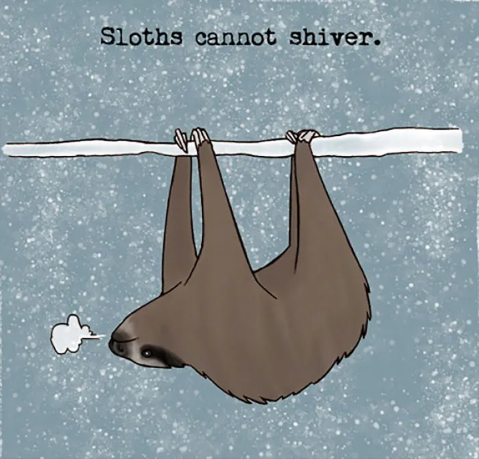 Sloth Facts