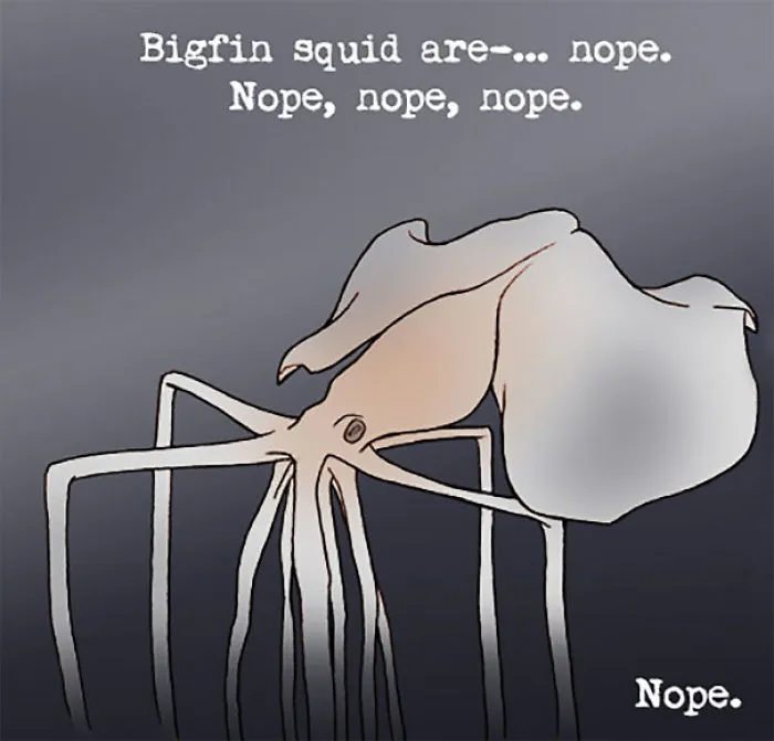 Squid Facts
