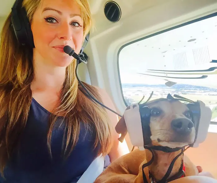 Cachorro En Su Primer Vuelo