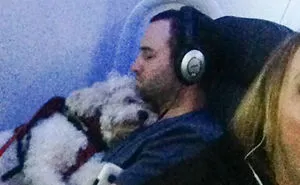50+ Flights That Had The Best Passengers