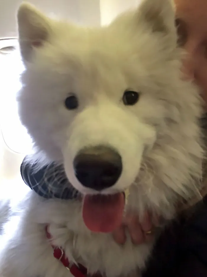 Guy Sitting Next To Me On A Recent Southwest Flight
