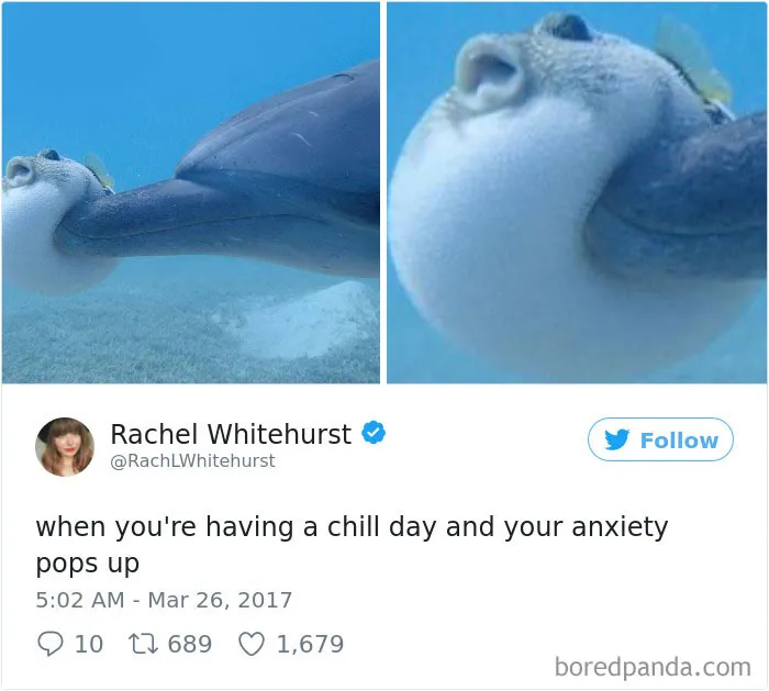 119 Pics About Anxiety That Will Make You Laugh, Then Cry