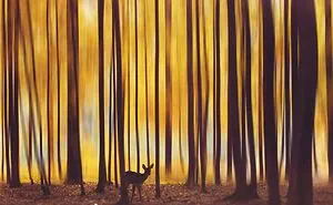 I Photograph How Autumn Looks Around The World