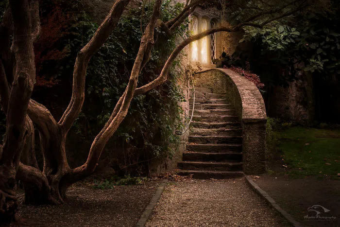 Would You Dare...?