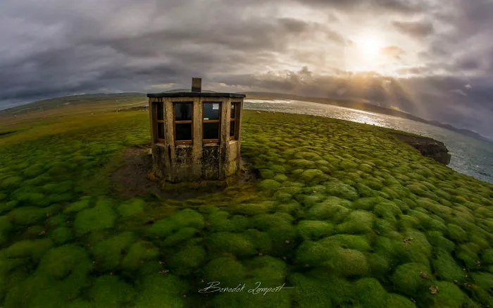 Strange Field - Yes, The Shape Of The Grass Is Real!