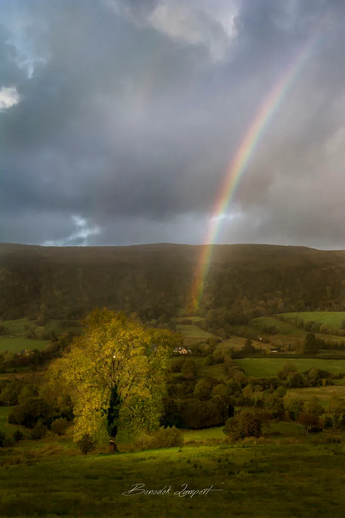 Looking For The Leprechaun's Gold