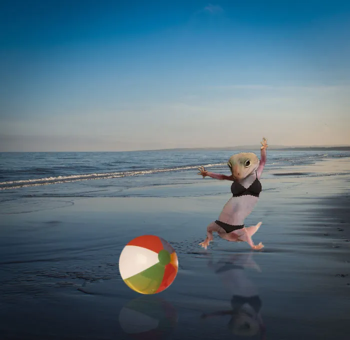 Beach Fun
