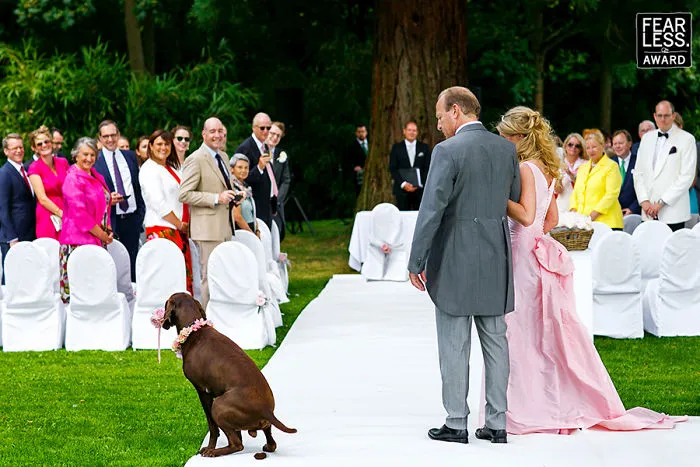 Las mejores fotos de bodas de 2017 te dejarán absolutamente sorprendid@