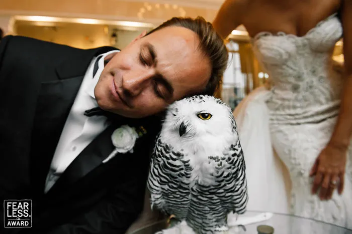 The Best Wedding Photos Of 2017 Will Absolutely Amaze You