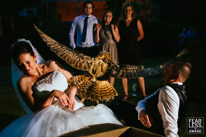 The Best Wedding Photos Of 2017 Will Absolutely Amaze You