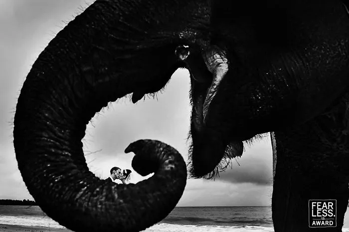 The Best Wedding Photos Of 2017 Will Absolutely Amaze You