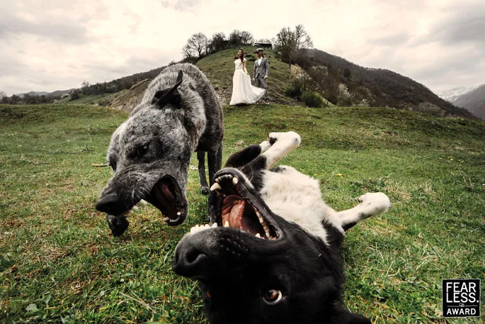 Las mejores fotos de bodas de 2017 te dejarán absolutamente sorprendid@